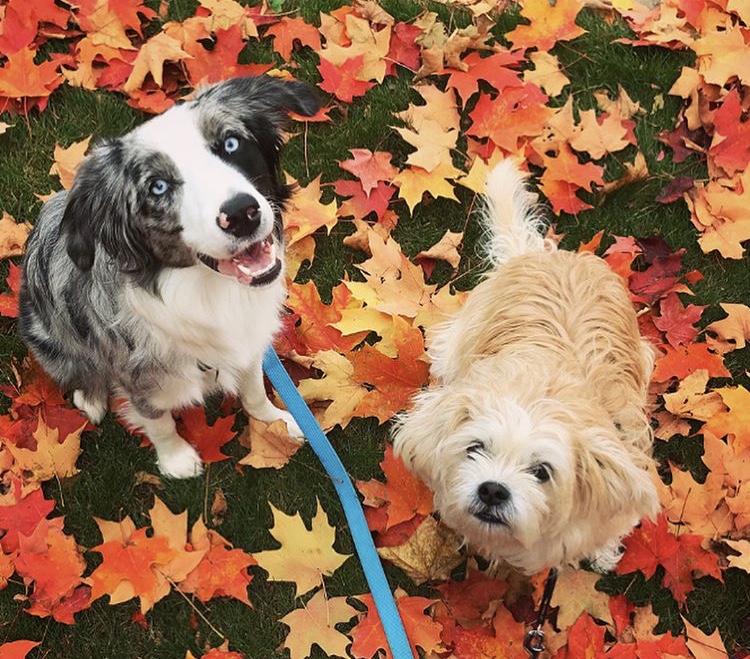 Hazel and Colby - Ontario, Canada